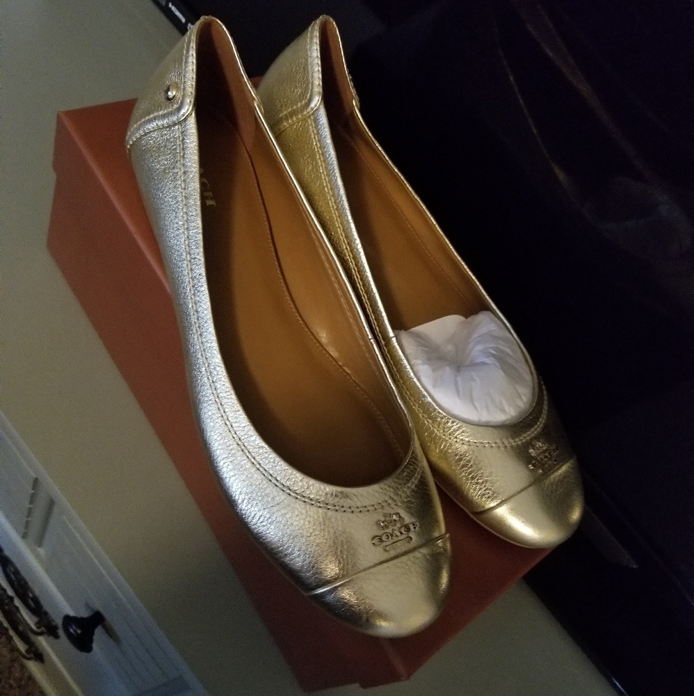 NIB Coach Chelsea Metallic Platinum flats 9.5